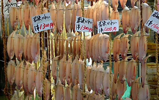 �����N��