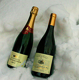 �V�����y��