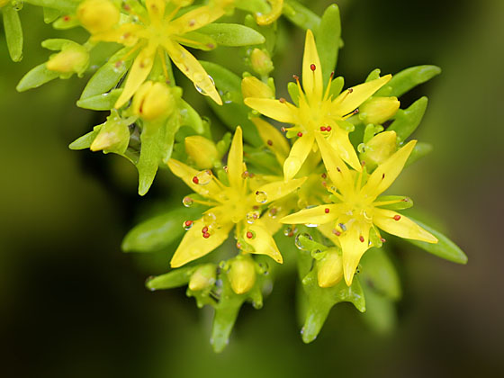 �q�������Q