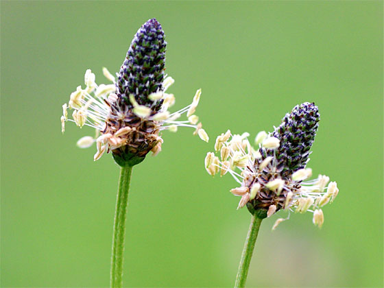 �w���I�I�o�R