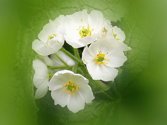 �T���J���E