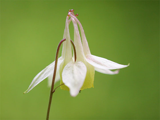 ���}�I�_�}�L