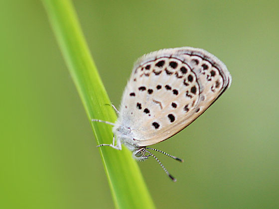 ���}�g�V�W�~