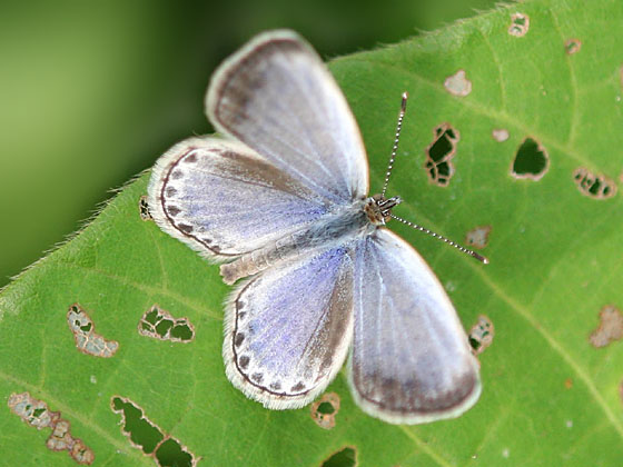 ���}�g�V�W�~