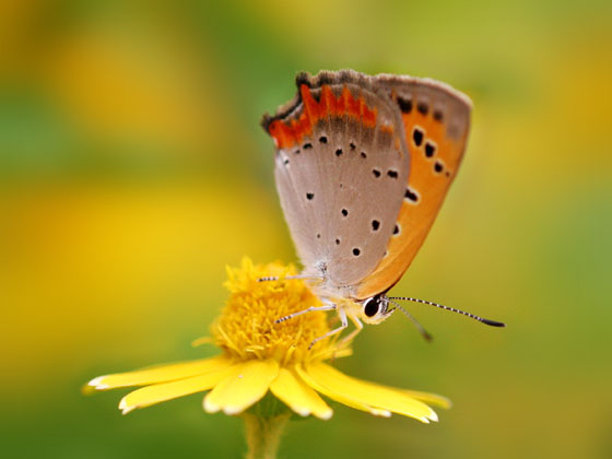 �x�j�V�W�~