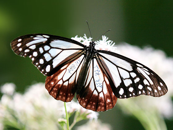 �A�T�M�}�_��