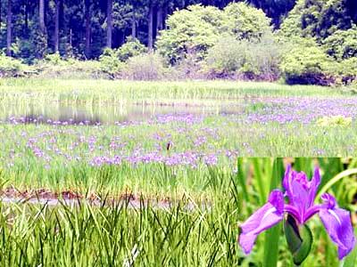 �����΂�