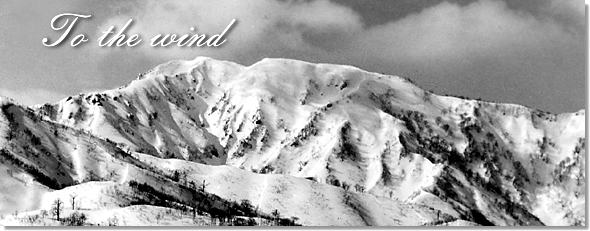 ���̒���