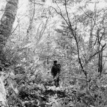 墖X�q�̎R�џO��