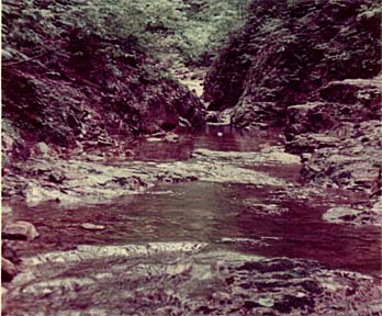 ���������������s��