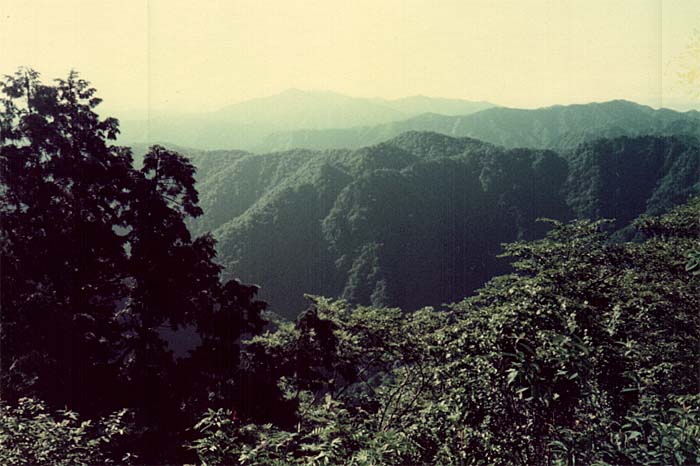 ���̓V�䒸��