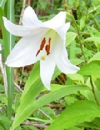 �T�T����